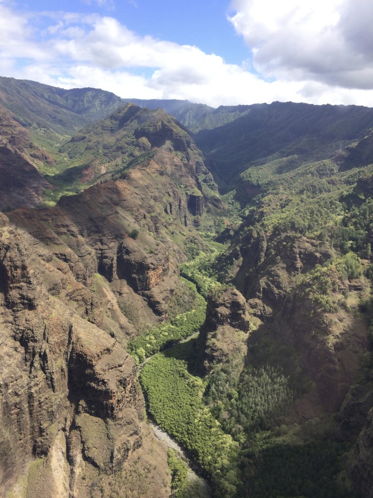 kauai valley