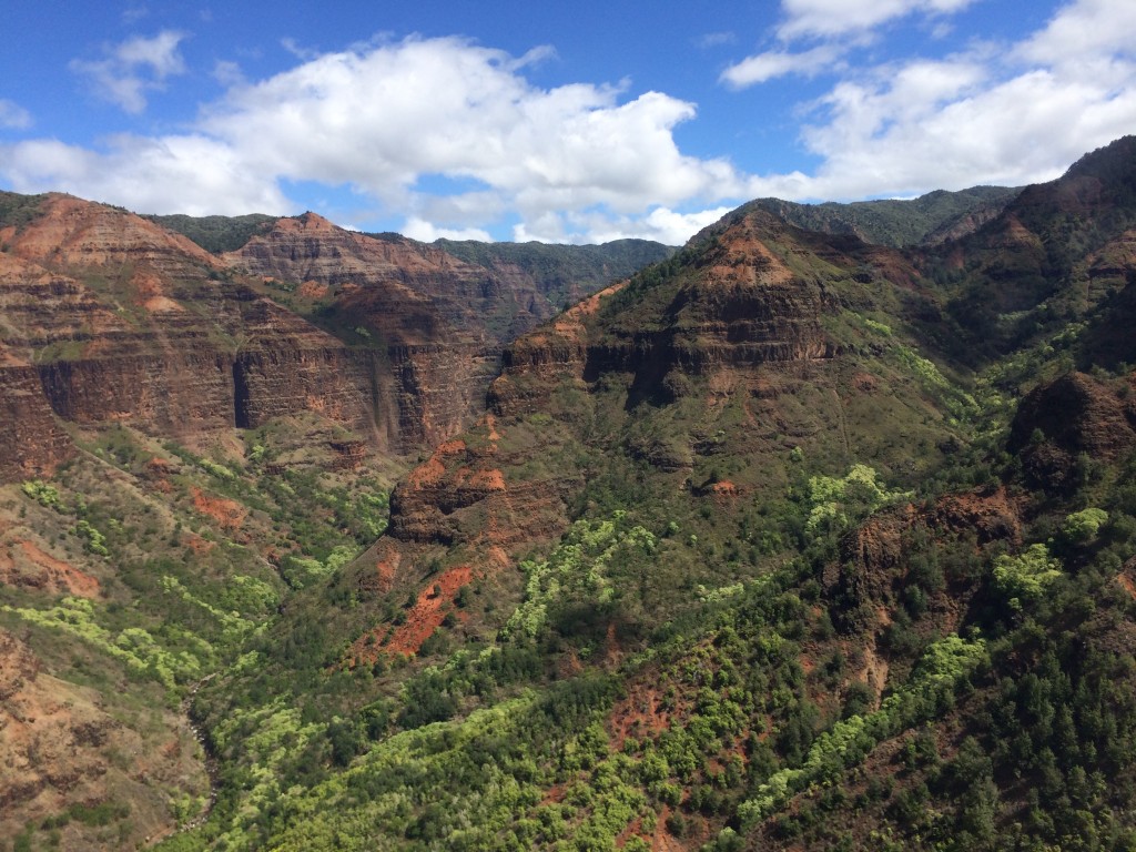 waimea canyon