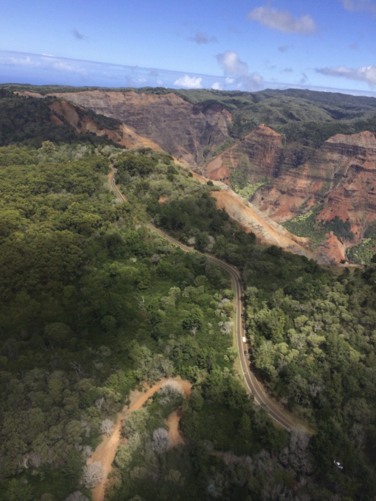 Waimea drive