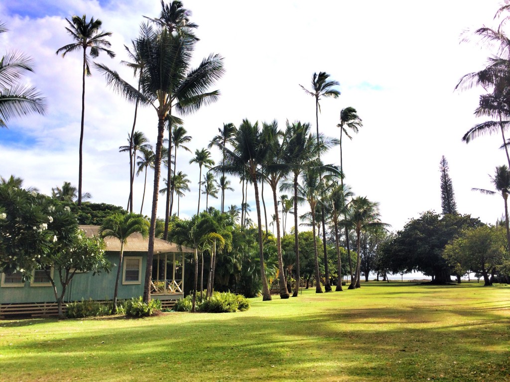 Waimea plantation cotteges