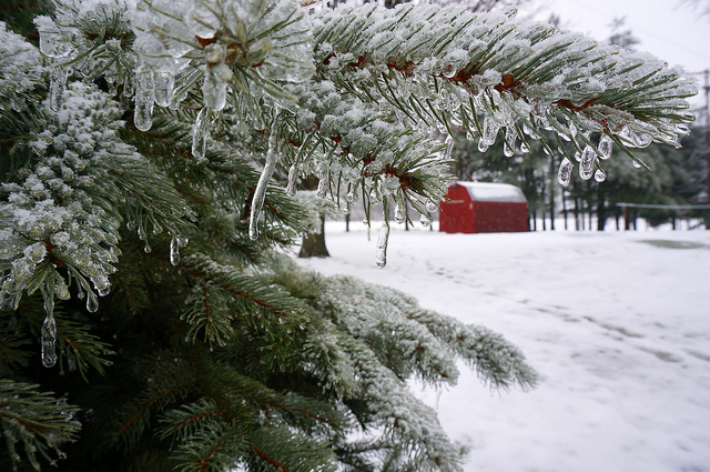 michiganwinter